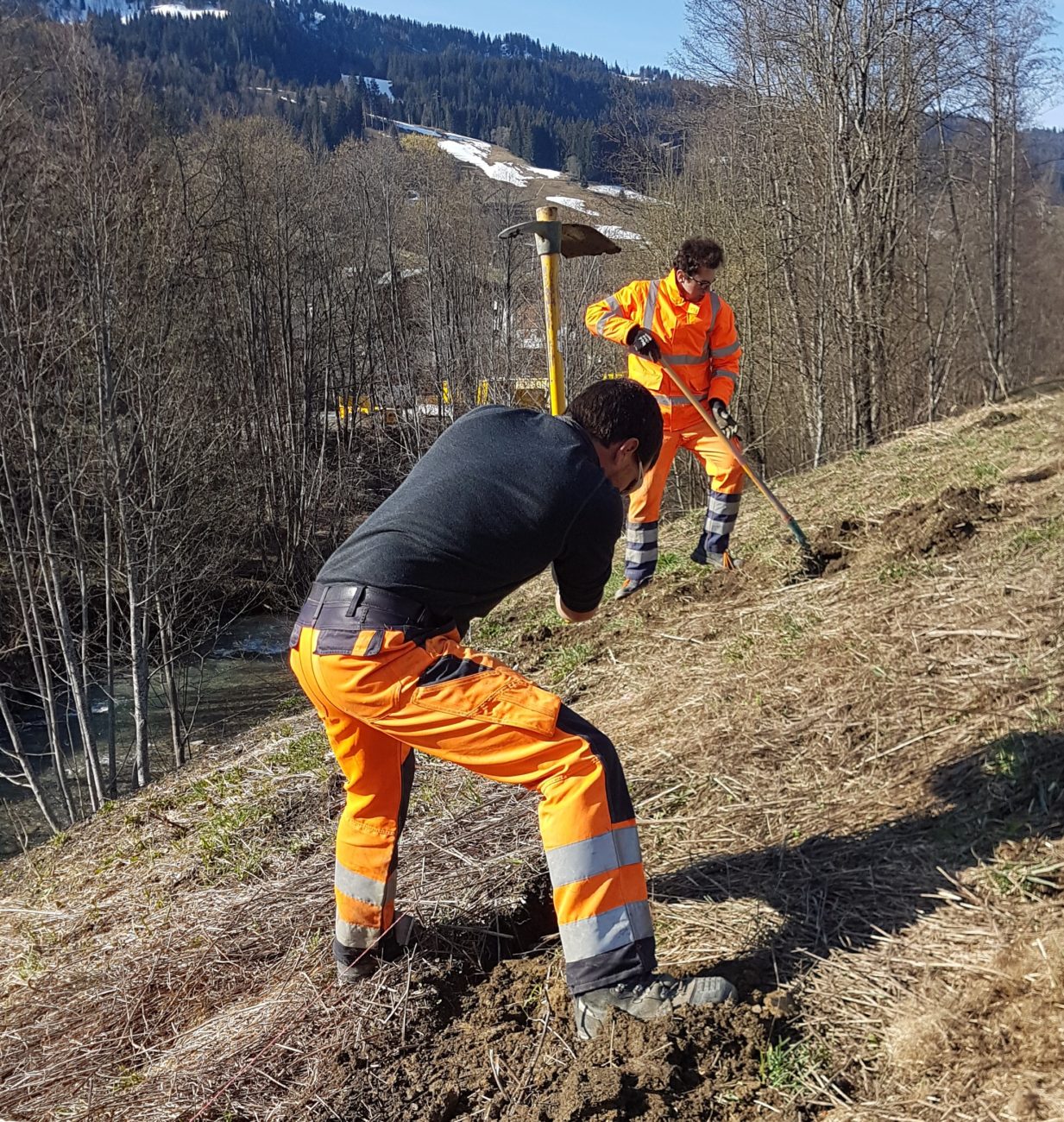 Bâchage à Praz-sur-Arly : limiter la propagation de Renouée du Japon