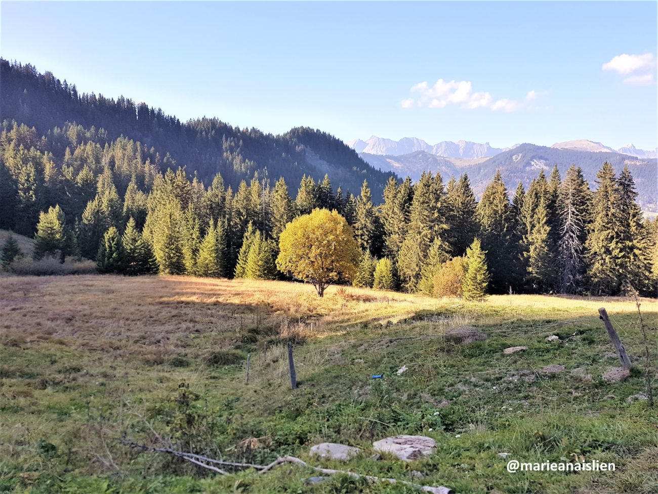 Plan de gestion des zones humides de Praz-sur-Arly