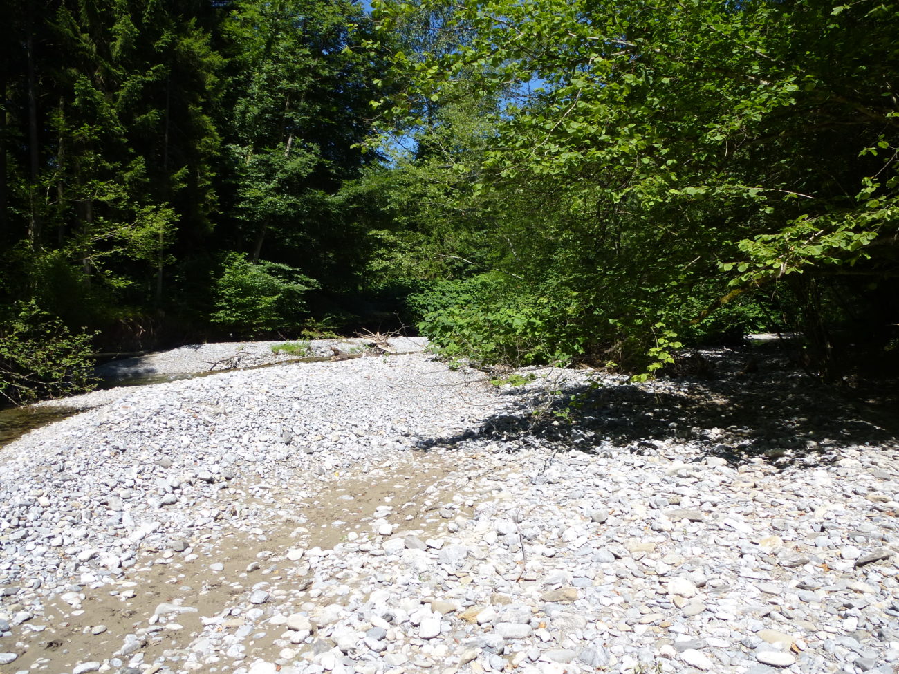 Ressources en eau : état des ressources superficielles sur le bassin versant Arly