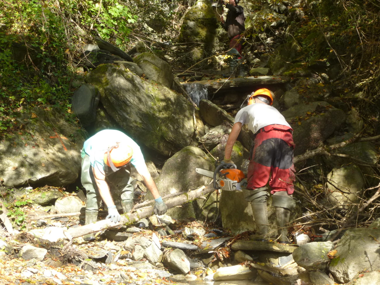 Avis de travaux aux propriétaires riverains des cours d’eau : Val d’Arly