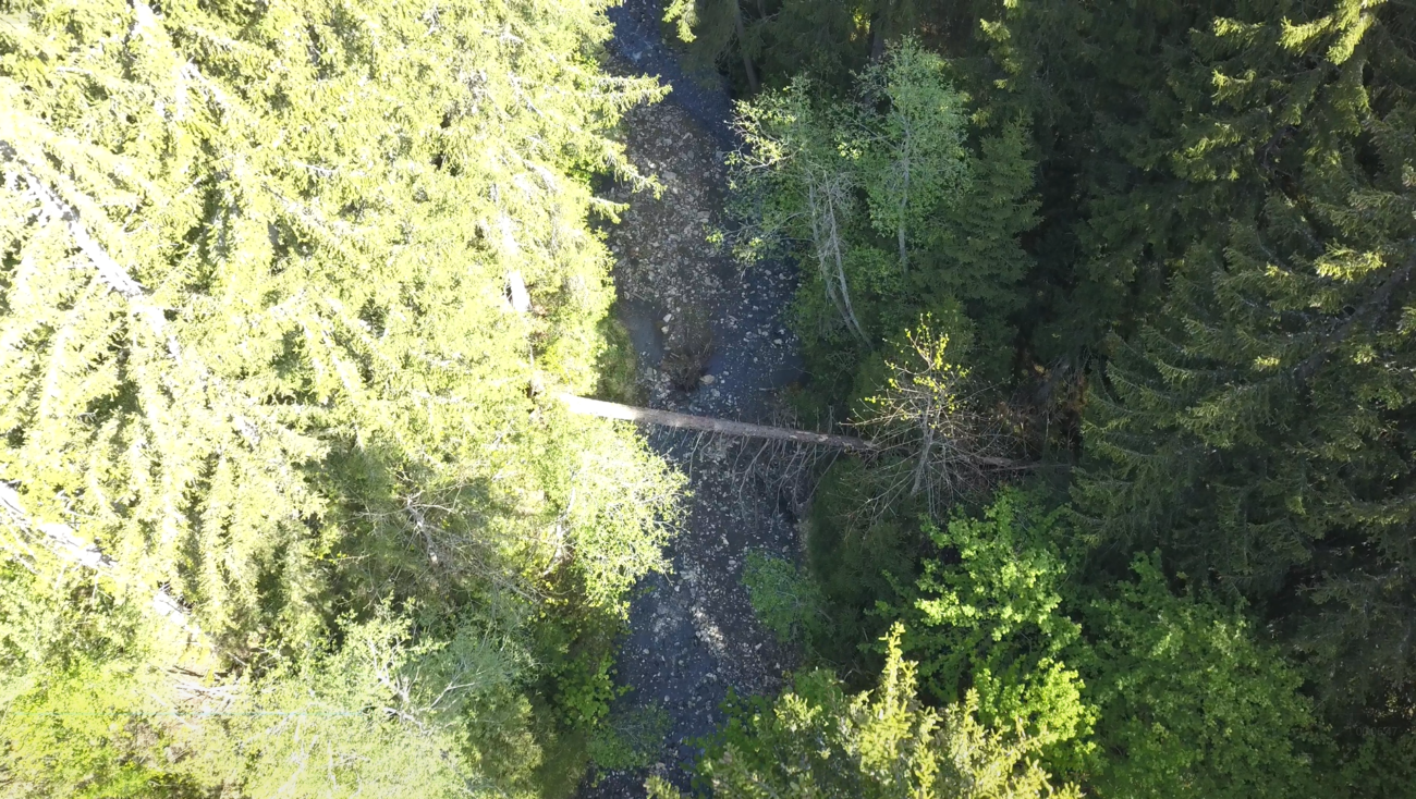 Avis de travaux aux propriétaires riverains des cours d’eau : Megève et Praz-sur-Arly