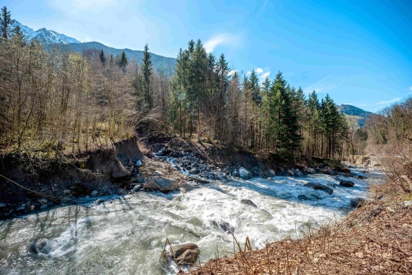 Travaux de restauration de la confluence du Nant Bruyant