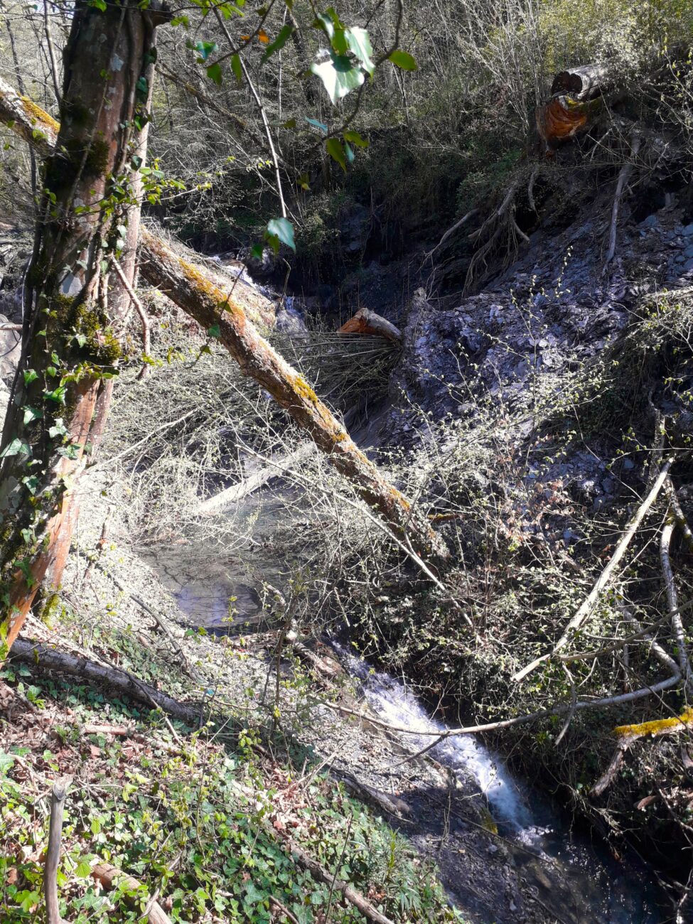 Des travaux d’entretien des cours d’eau programmés sur l’ensemble du bassin versant Arly – Été 2025