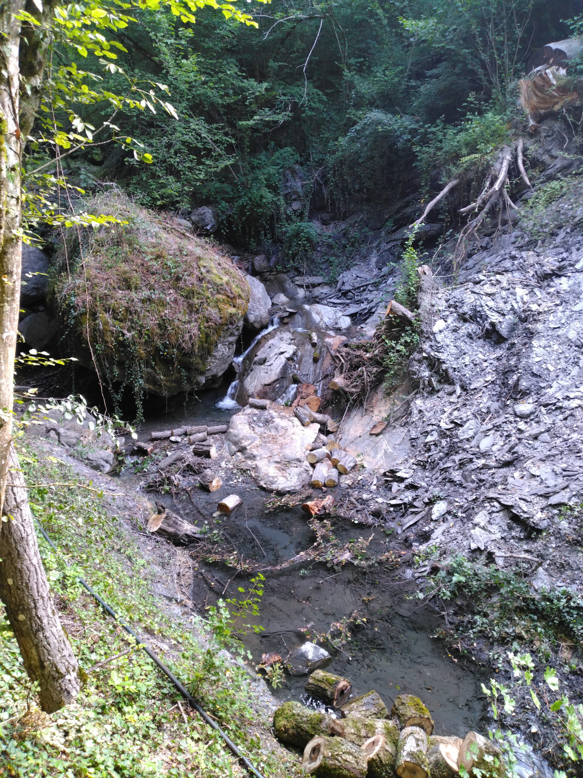 Des travaux d’entretien des cours d’eau programmés sur l’ensemble du bassin versant Arly – Été 2025