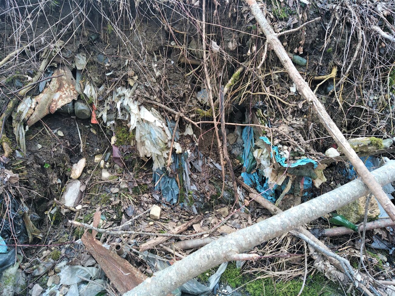 Etude de restauration de l’Arly sous le Meu à Megève