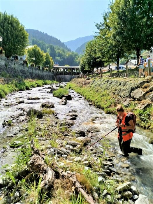 Un nouveau plan de gestion pour les espèces exotiques envahissantes