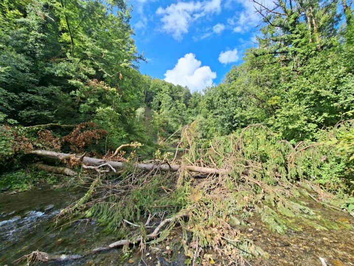 Réunion publique entretien des cours d&rsquo;eau à Flumet