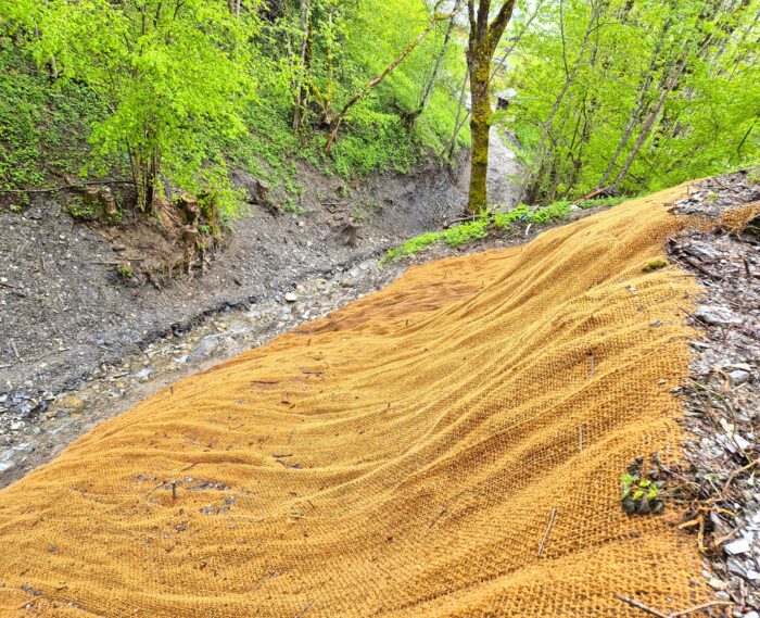 Ancienne décharge à Praz-sur-Arly : le Nant des Essertets dépollué